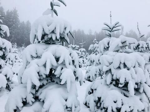 Haus Astenblick In Winterberg Fuer Bis Zu 35 Personen Fuer Wanderveranstaltungen Und Familienfeiern Exterior foto